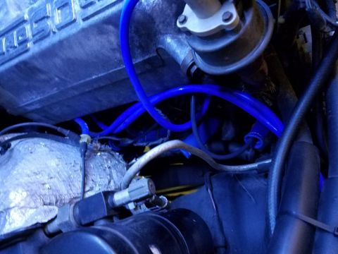 1995 Ford Bronco - Close-up view of engine components with blue silicone hoses and a silver-colored valve cover with embossed text. The engine bay appears to…