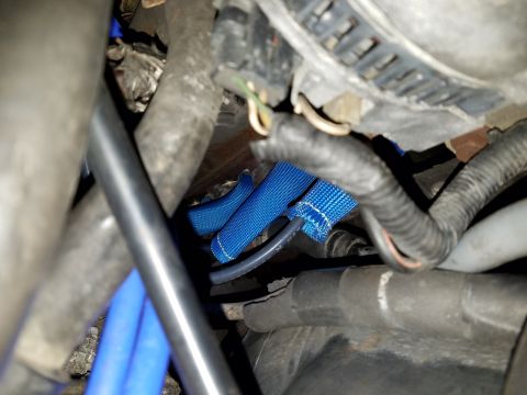 1995 Ford Bronco - Close-up view of engine bay components, including blue protective sleeves on wiring or hoses, and various metal and rubber parts. The image…