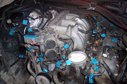 1995 Ford Bronco - A close-up view of a vehicle's engine bay, featuring a complex arrangement of hoses, wires, and engine components. Many of the electrical c…