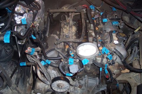 1995 Ford Bronco - This is an overhead view of a Ford V8 engine bay with various hoses and electrical connectors marked with blue tape and labels. The engine…