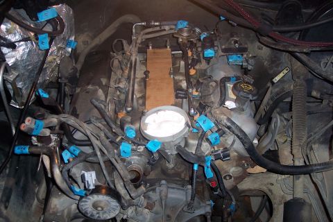 1995 Ford Bronco - A close-up view of a vehicle's engine bay, featuring numerous hoses and wires labeled with blue tape. A cardboard piece is placed over part…