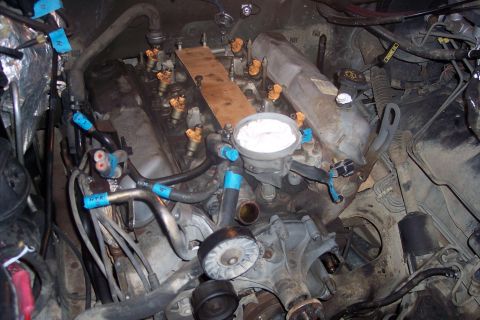 1995 Ford Bronco - Close-up view of the engine bay of a 1995 Ford Bronco, showing the fuel injectors and intake manifold.