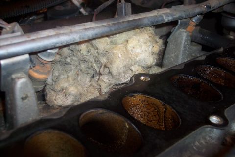 1995 Ford Bronco - A close-up view of an engine bay showing a large clump of insulation material packed around engine components, possibly to deter rodents. T…