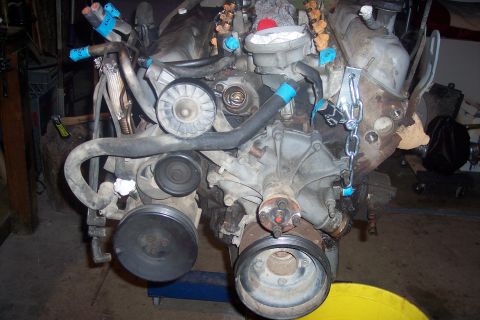 1995 Ford Bronco - Engine assembly with various hoses and pulleys, likely removed from a vehicle for repair or replacement.
