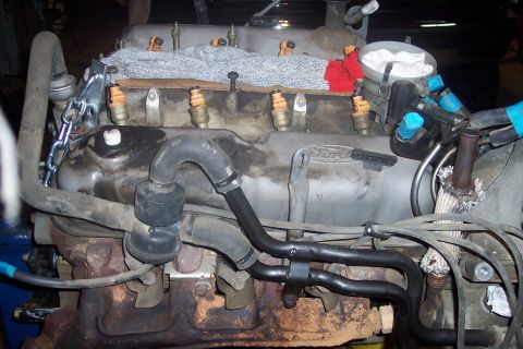 1995 Ford Bronco - Close-up of a Ford V8 engine, showing fuel injectors and various hoses.