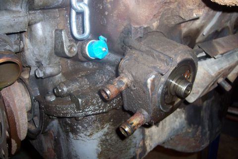 1995 Ford Bronco - Close-up of an engine oil filter housing, showing its various components and a blue protective cap.