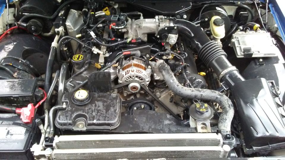 2006 Ford Crown Victoria engine bay with V8 engine, alternator, and air intake visible