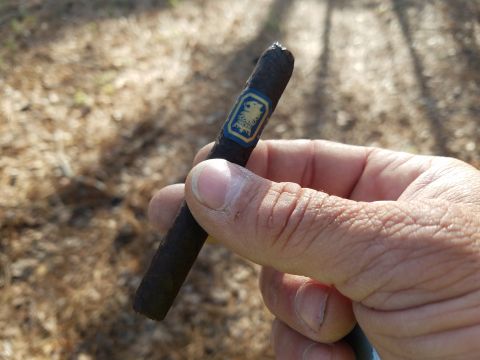 2018 Ford Bronco - A cigar is held in a person's hand against a blurred outdoor background.