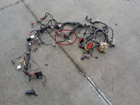 1994 Ford Bronco - Photograph of an actual wiring harness laid on the ground, not a wiring diagram.