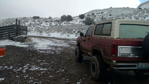 1981 Ford Bronco