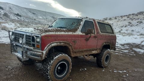 1981 Ford Bronco photo