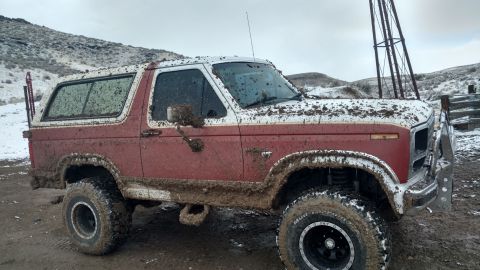 1981 Ford Bronco photo