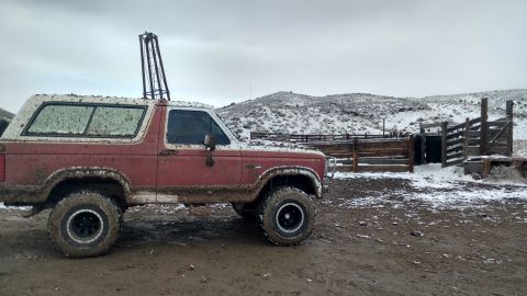 1981 Ford Bronco photo
