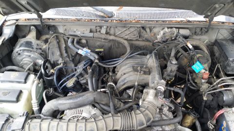 2003 Ford Ranger - There she is, in all her glory. 3.0 liters of fury. With all that crap on there it makes me wonder why I even cleaned and painted...
