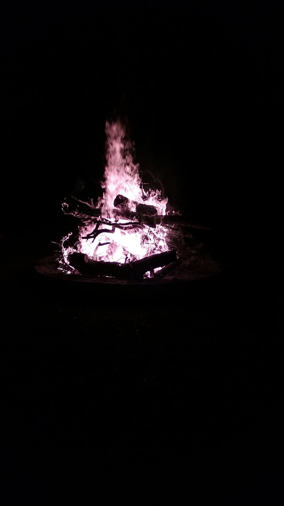 bonfire at night with pinkish flames