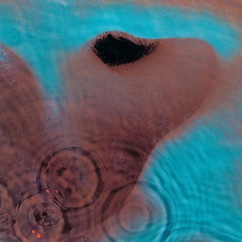 1967 Ford Custom Wagon - This abstract image does not clearly depict a vehicle, making it difficult to verify the registry claim.