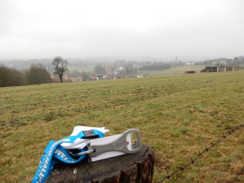 2010 Audi A4 - A bottle opener and lanyard rest on a tree stump in a rural landscape.