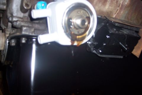 1995 Ford Bronco - Leaking oil cooler assembly attached to engine block, dripping onto the oil pan below.