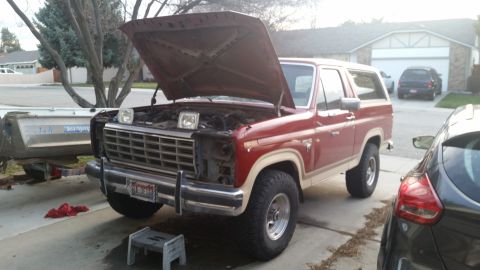 1985 Ford Bronco - 1985 Ford Bronco with hood open, showing engine bay and front end details.