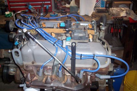1995 Ford Bronco - Ford V8 engine with blue spark plug wires and fuel injectors. The "Ford" logo is visible on the valve cover.