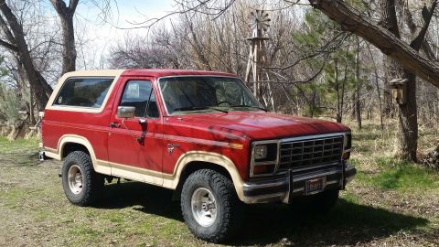 1985 Ford Bronco - Red 1985 Ford Bronco with tan trim and removable top, parked in a grassy area.
