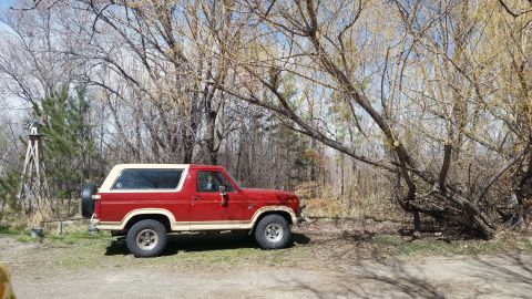 1985 Ford Bronco - A red and tan Ford Bronco is parked outdoors with trees in the background.