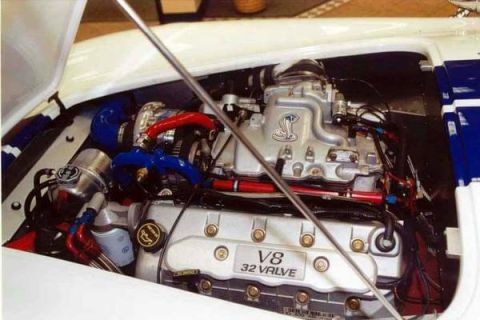1994 Ford Bronco - Close-up of a V8 32 valve engine, a prominent cobra emblem and custom blue and red hoses.