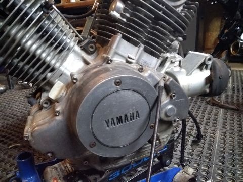 1982 Yamaha Virago - I replaced almost all of the hex bolts on the engine with new, shiny bolts.