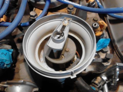 1995 Ford Bronco - This image shows a close-up view of a vehicle's ignition distributor cap and rotor, a critical engine component.