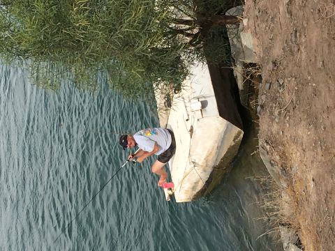2018 Yugo GV - A man casts his fishing line from a concrete platform into the water, shaded by a tree.