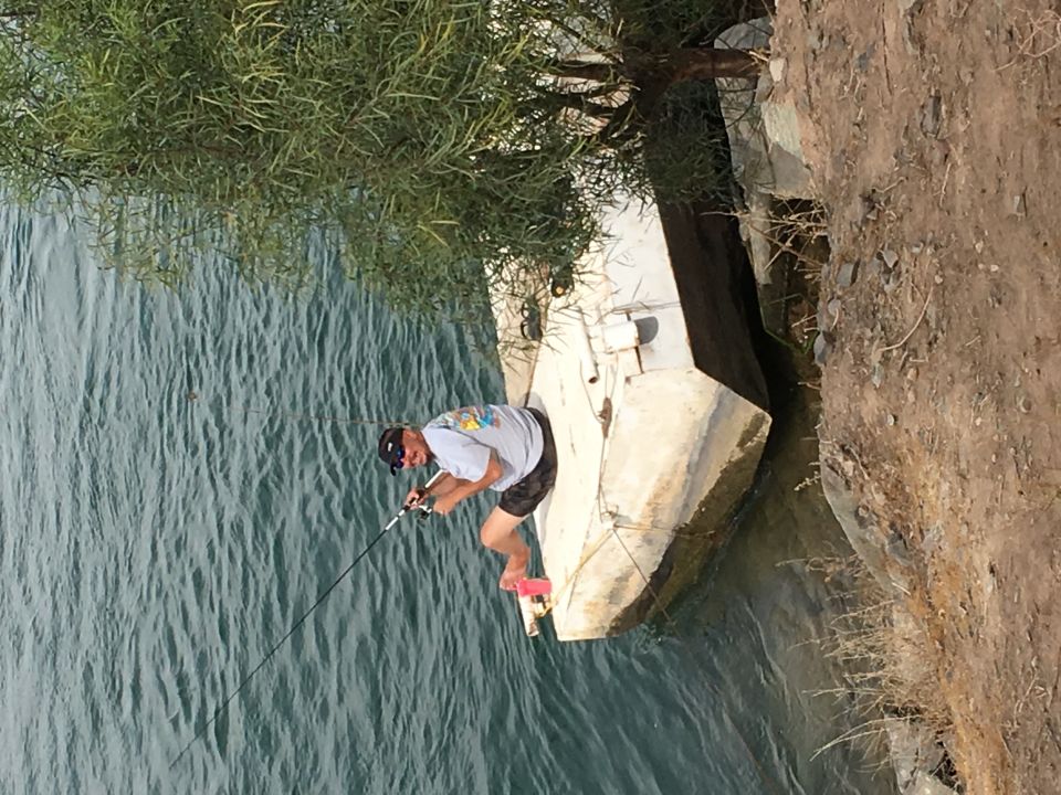 Man fishing from a concrete structure next to water, with a tree overhead