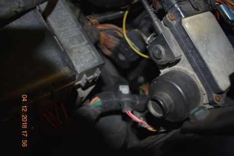 1996 Ford Bronco - A close-up view shows a black plastic fuse box and a gray electronic control module with wiring harnesses and connectors in an engine bay.…