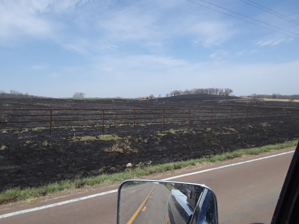 View from a vehicle of a burned field with a fence and distant trees under a cloudy sky.