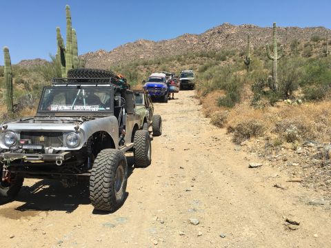 1961 International Scout 800