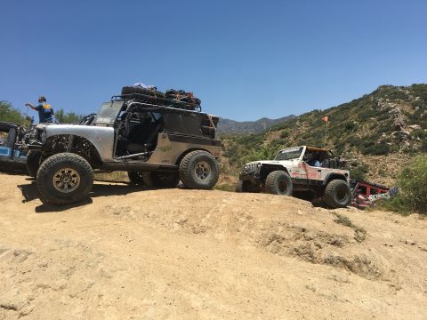 1961 International Scout 800