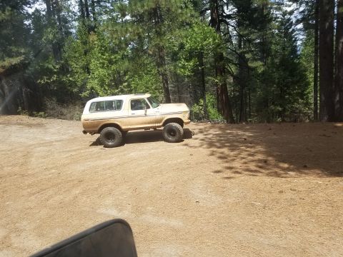 1968 Ford Bronco - A tan Ford Bronco is parked on a dirt road in a forest. The vehicle has large off-road tires and a white roof.