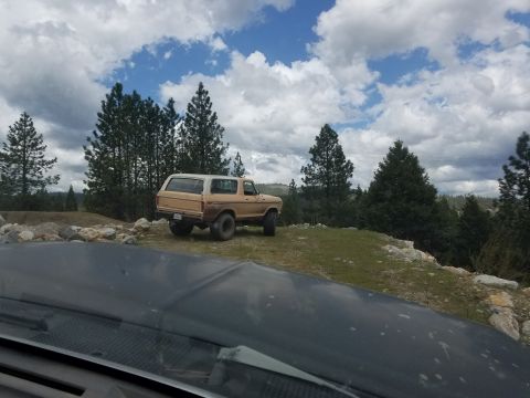 1968 Ford Bronco - A tan and white Ford Bronco is parked on a grassy hill with trees in the background under a cloudy sky. The photo is taken from the perspec…