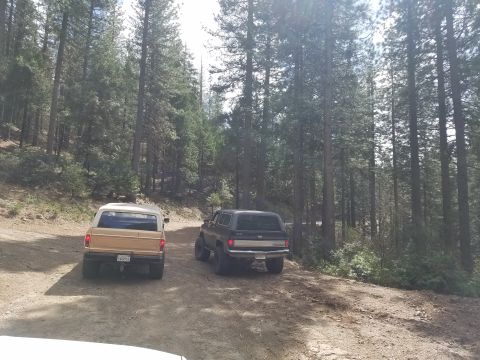 1968 Ford Bronco - Two vintage SUVs are parked on a dirt road surrounded by a dense pine forest. The vehicle in the foreground is a light brown SUV, and the v…