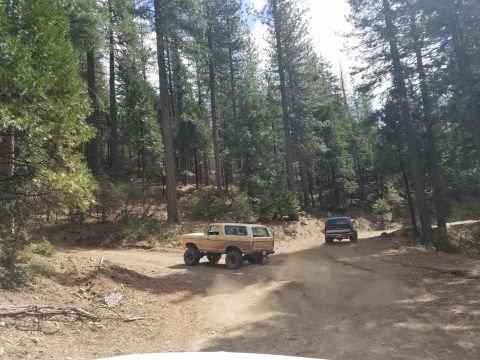 1968 Ford Bronco - Two SUVs drive down a dusty dirt road in a forest. The lead vehicle is a tan classic SUV, possibly a Ford Bronco, kicking up dust as it tur…