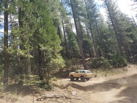1968 Ford Bronco - A tan 1978-1979 Ford Bronco is driving on a dirt road, kicking up dust in a forest setting. The vehicle is viewed from the rear-side angle.
