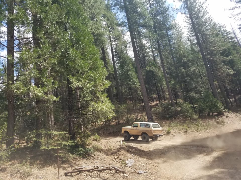 Tan 1978-1979 Ford Bronco driving on a dusty forest road.