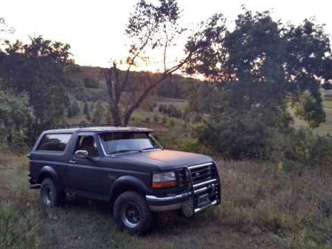 1996 Ford Bronco - A dark-colored Ford Bronco is parked in a grassy, wooded area during dusk. The SUV has a brush guard on the front bumper and a roof rack.