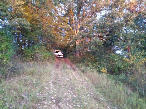 1996 Ford Bronco - A white Ford Bronco is parked on a dirt road going uphill, surrounded by trees with autumn foliage.