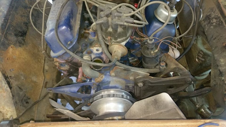 Vintage Ford V8 engine with blue valve covers in an engine bay