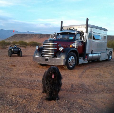 1995 Peterbilt 379 “O`Mally”