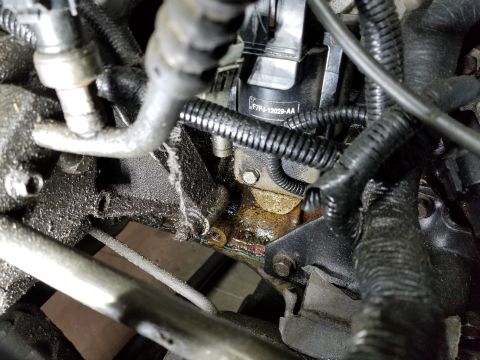 1995 Ford F-150 - The stain on my floor is from the side cover gasket - it's probably original. [url=https://www.supermotors.net/registry/media/952406] https…