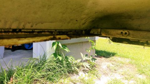 1969 Ford Bronco photo