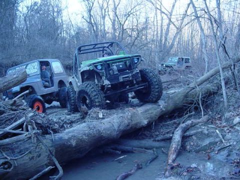 1992 Ford Bronco - Off-road vehicles tackle a challenging obstacle course, navigating over a large fallen tree in a wooded area.