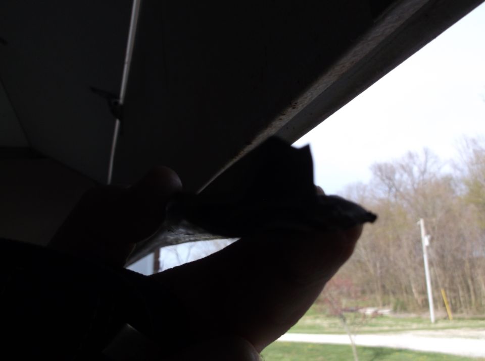 Hand holding a piece of dark material with a blurred outdoor scene in the background.