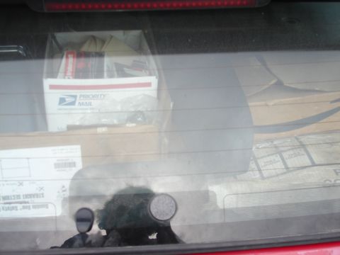 1973 Ford Ranchero - The rear window of a vehicle shows several boxes, including a white Priority Mail box with a blue USPS logo and red stripes. A fuzzy object…